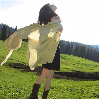 堡垒坚石国语 海报