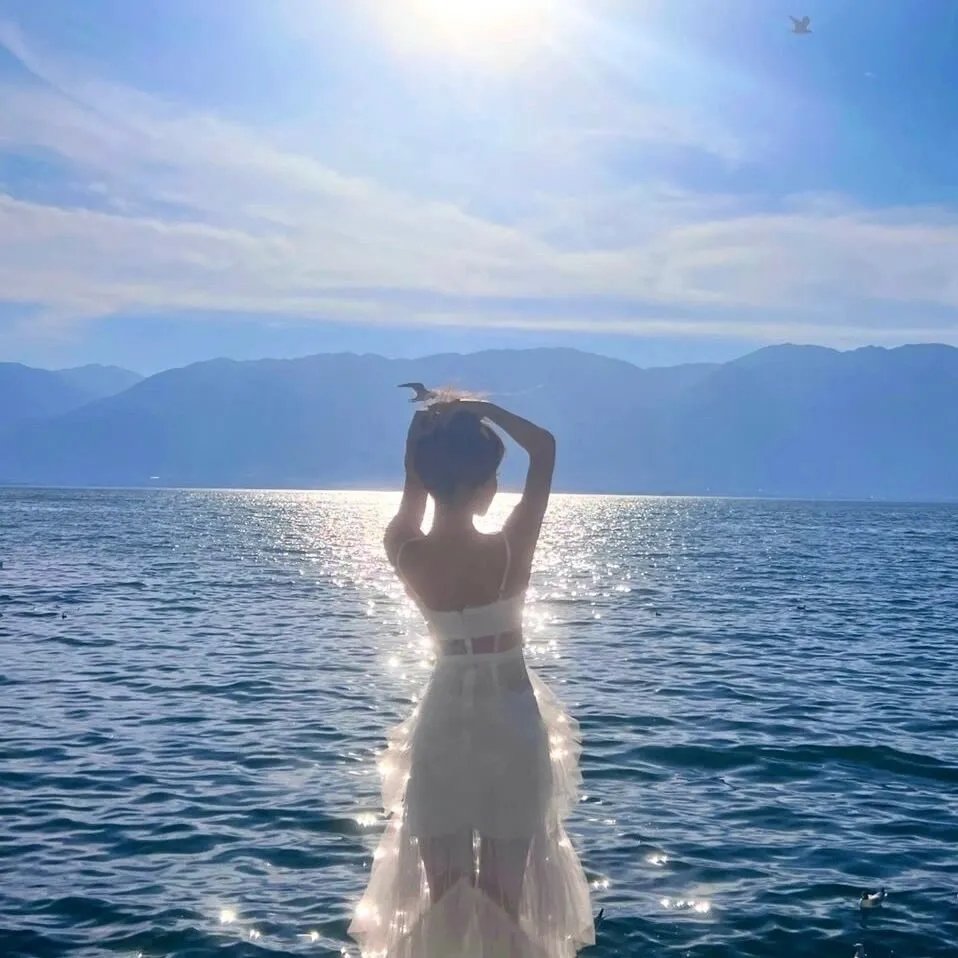 布利斯避难所 海报